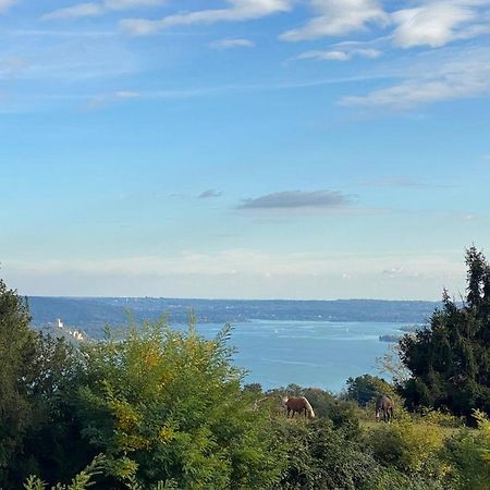 La Garconnierre Del Lago Maggiore Nebbiuno Zewnętrze zdjęcie