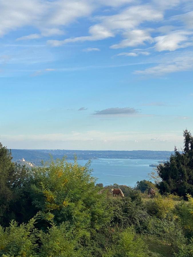La Garconnierre Del Lago Maggiore Nebbiuno Zewnętrze zdjęcie